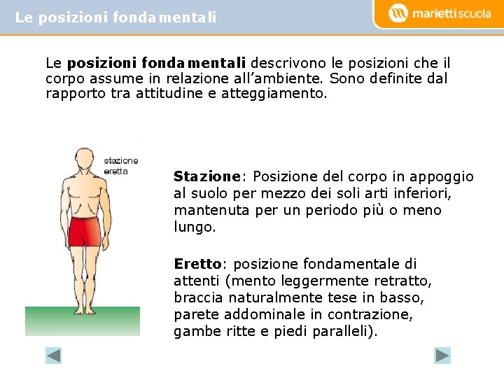 Le posizioni fondamentali descrivono le posizioni che il corpo assume in relazione all’ambiente. Sono