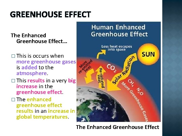 GREENHOUSE EFFECT The Enhanced Greenhouse Effect… � This is occurs when more greenhouse gases