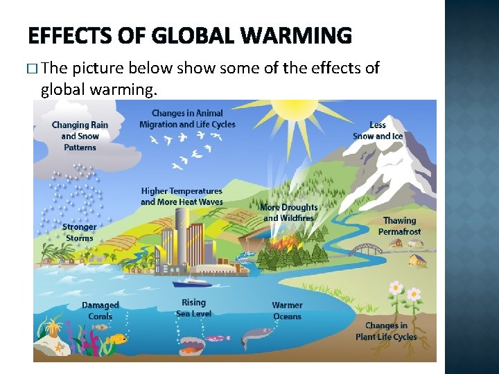 EFFECTS OF GLOBAL WARMING � The picture below show some of the effects of