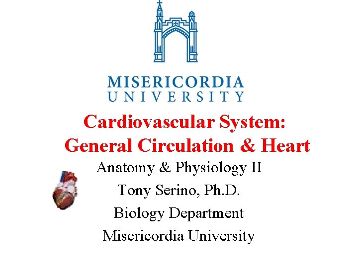 Cardiovascular System: General Circulation & Heart Anatomy & Physiology II Tony Serino, Ph. D.
