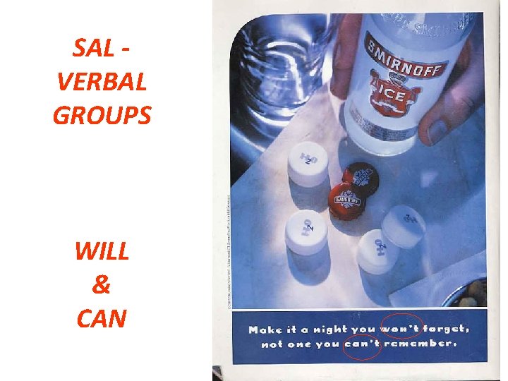 SAL VERBAL GROUPS WILL & CAN 