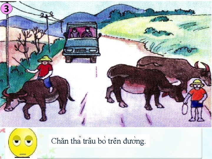 3 Chăn tha trâu bo trên đươ ng. 