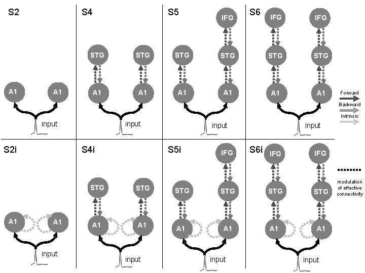 S 2 A 1 S 4 A 1 S 5 IFG S 6 IFG