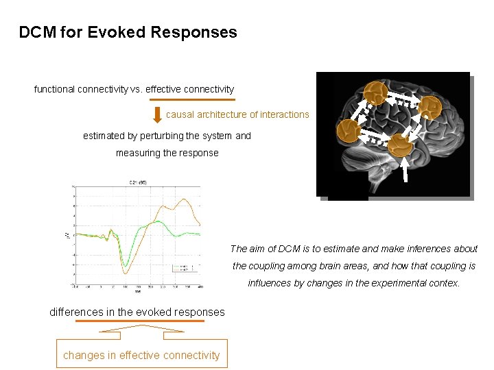 DCM for Evoked Responses functional connectivity vs. effective connectivity causal architecture of interactions estimated