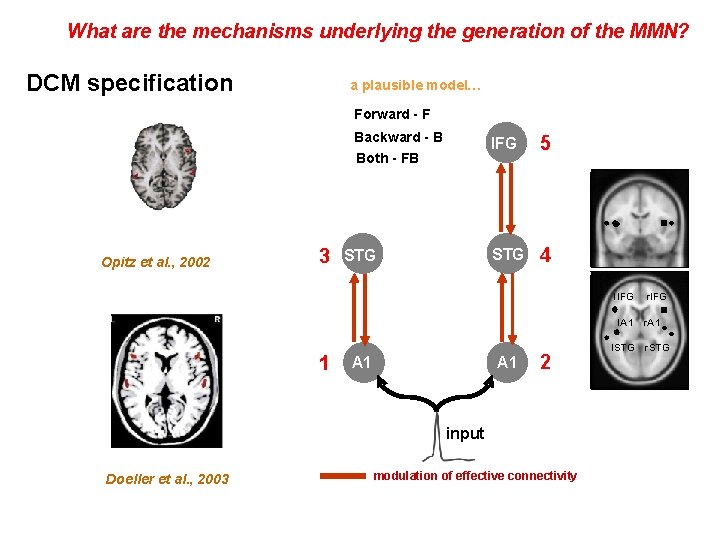 What are the mechanisms underlying the generation of the MMN? DCM specification a plausible