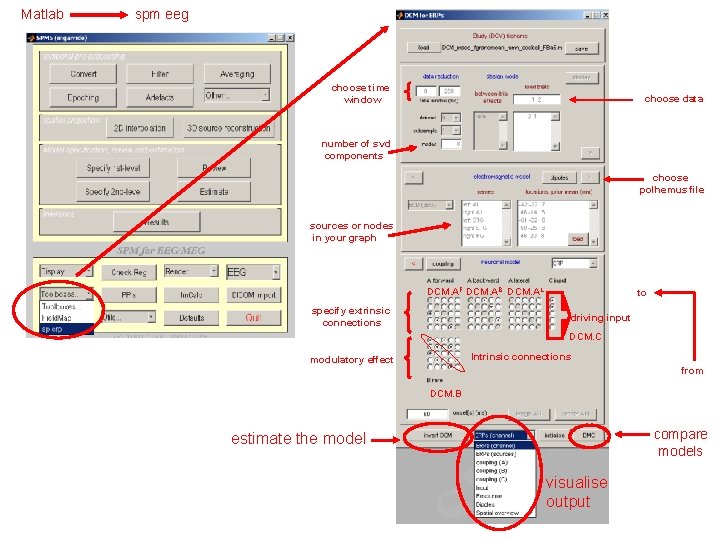 Matlab spm eeg choose time window choose data number of svd components choose polhemus