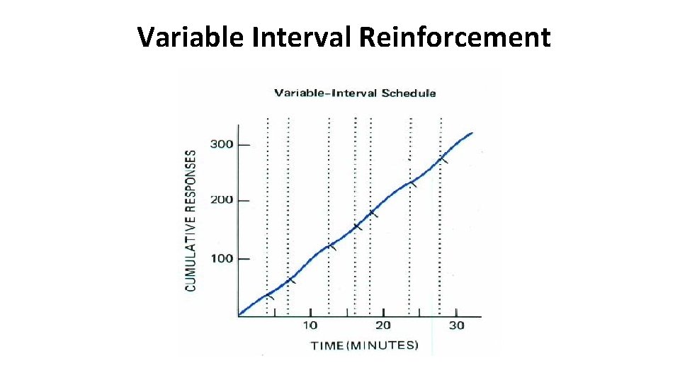 Variable Interval Reinforcement 