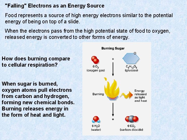 "Falling" Electrons as an Energy Source Food represents a source of high energy electrons "Falling" Electrons as an Energy Source Food represents a source of high energy electrons