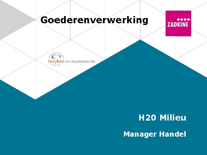 Goederenverwerking H 20 Milieu Manager Handel 