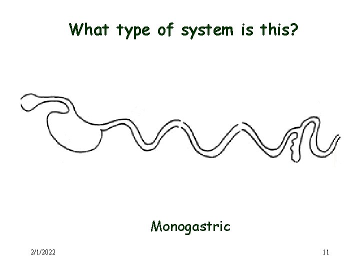 What type of system is this? Monogastric 2/1/2022 11 