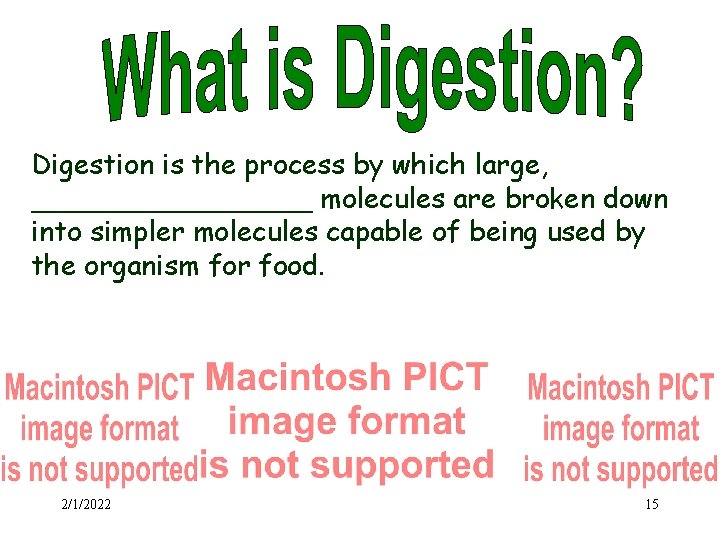 Digestion is the process by which large, ________ molecules are broken down into simpler