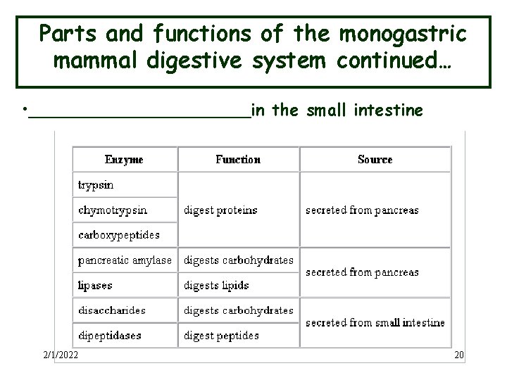 Parts and functions of the monogastric mammal digestive system continued… • ___________in the small