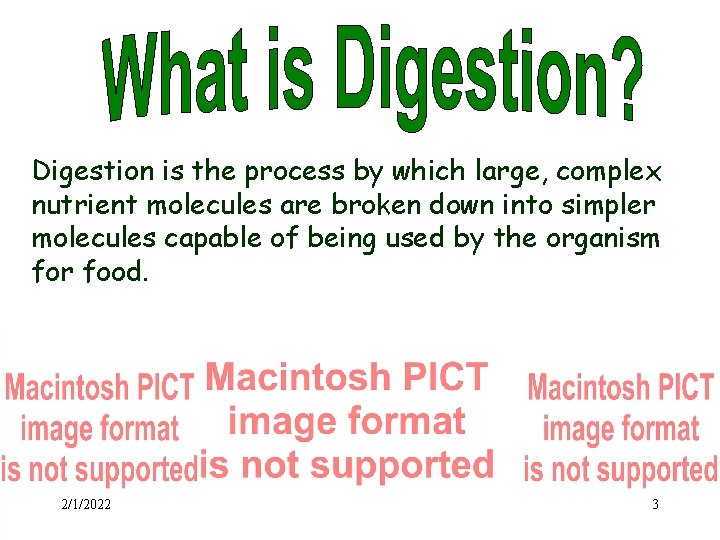 Digestion is the process by which large, complex nutrient molecules are broken down into