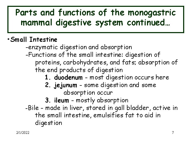 Parts and functions of the monogastric mammal digestive system continued… • Small Intestine -enzymatic