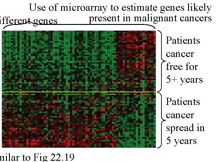 Use of microarray to estimate genes likely present in malignant cancers ifferent genes milar