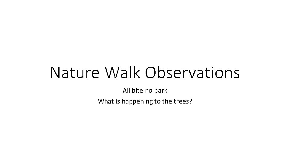 Nature Walk Observations All bite no bark What is happening to the trees? 