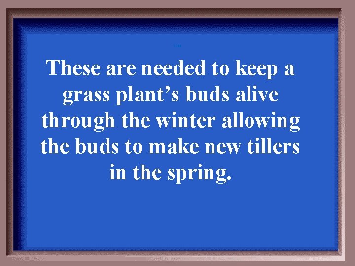 2 -300 These are needed to keep a grass plant’s buds alive through the