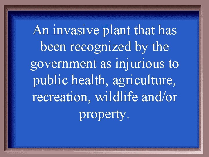 An invasive plant that has been recognized by the government as injurious to public