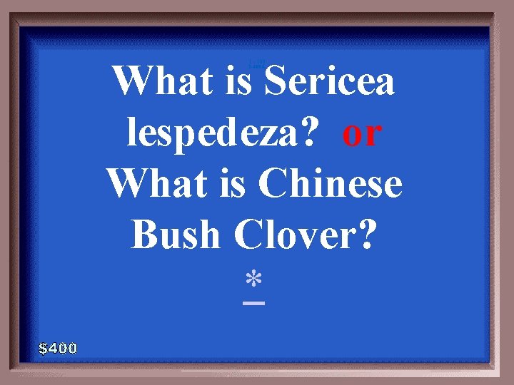 What is Sericea lespedeza? or What is Chinese Bush Clover? * 1 - 100