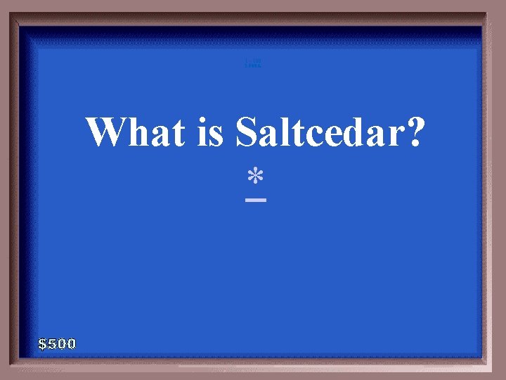 1 - 100 3 -500 A What is Saltcedar? * 