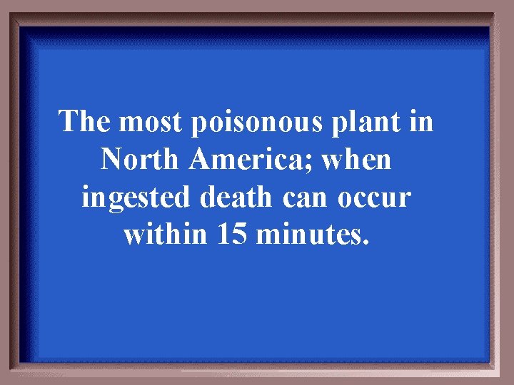 The most poisonous plant in North America; when ingested death can occur within 15