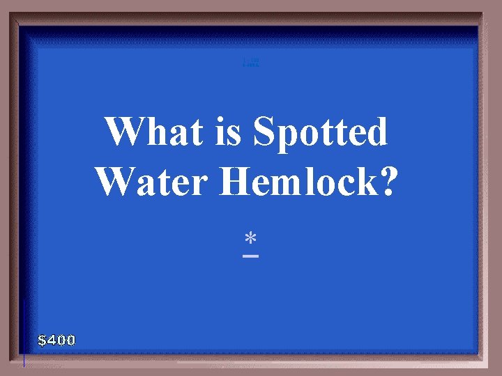 1 - 100 6 -400 A What is Spotted Water Hemlock? * 