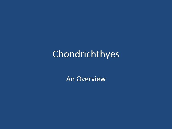 Chondrichthyes An Overview 