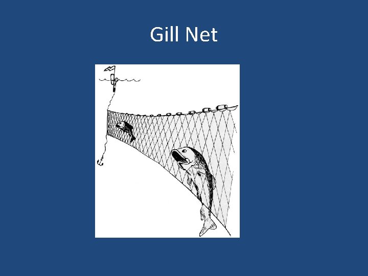 Gill Net 