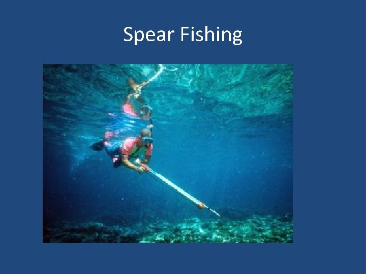 Spear Fishing 
