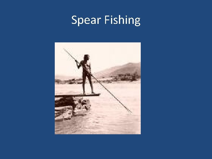 Spear Fishing 