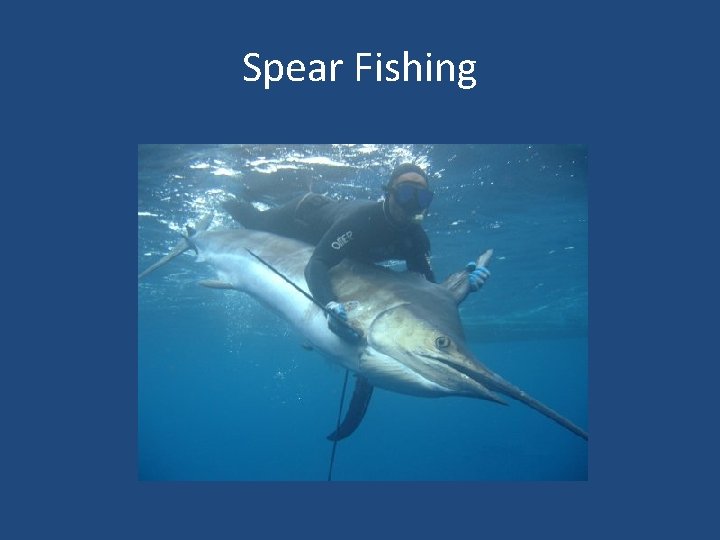 Spear Fishing 