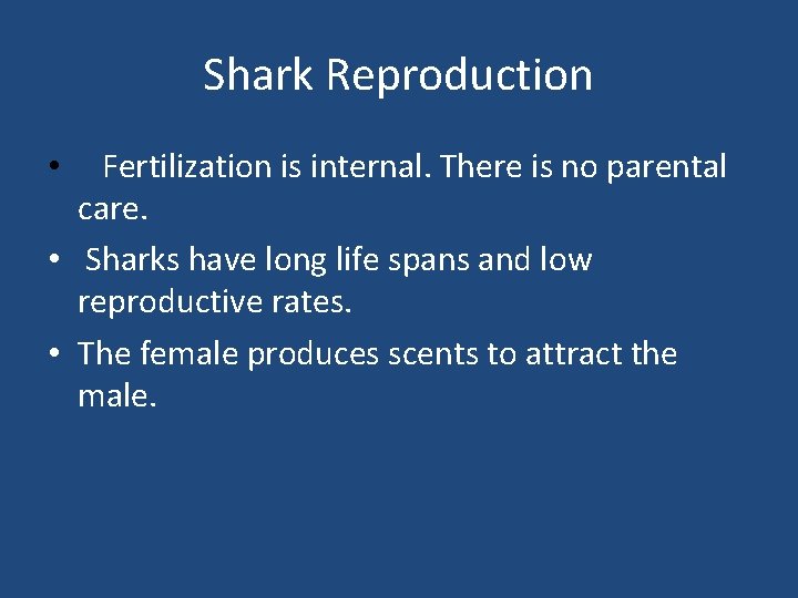 Shark Reproduction Fertilization is internal. There is no parental care. • Sharks have long