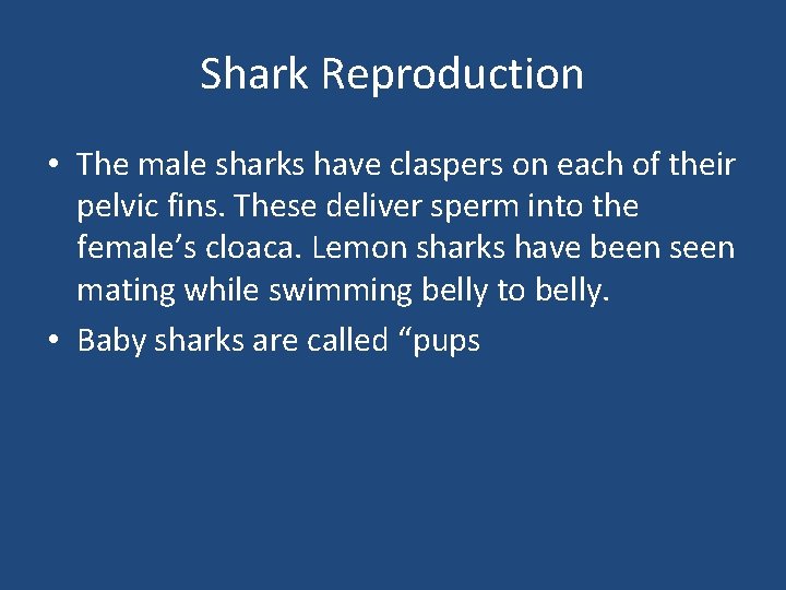 Shark Reproduction • The male sharks have claspers on each of their pelvic fins.
