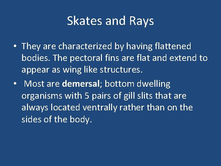 Skates and Rays • They are characterized by having flattened bodies. The pectoral fins