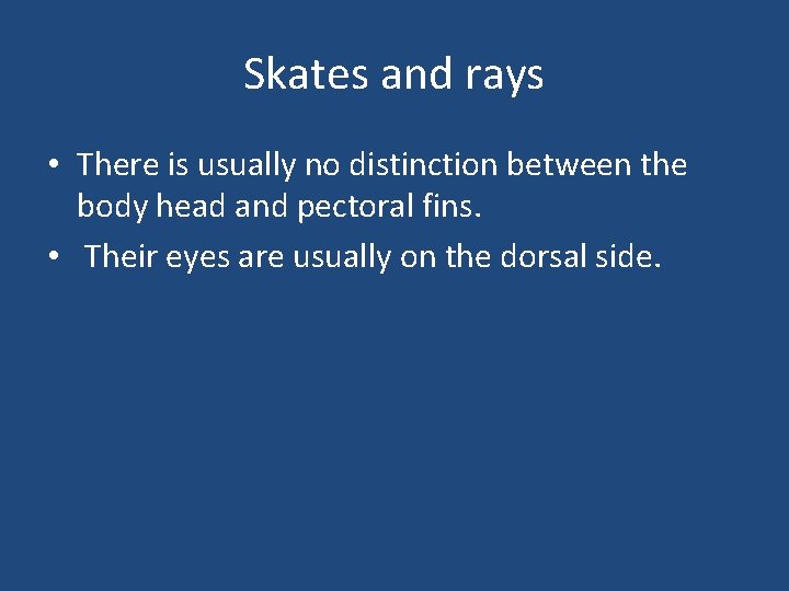 Skates and rays • There is usually no distinction between the body head and
