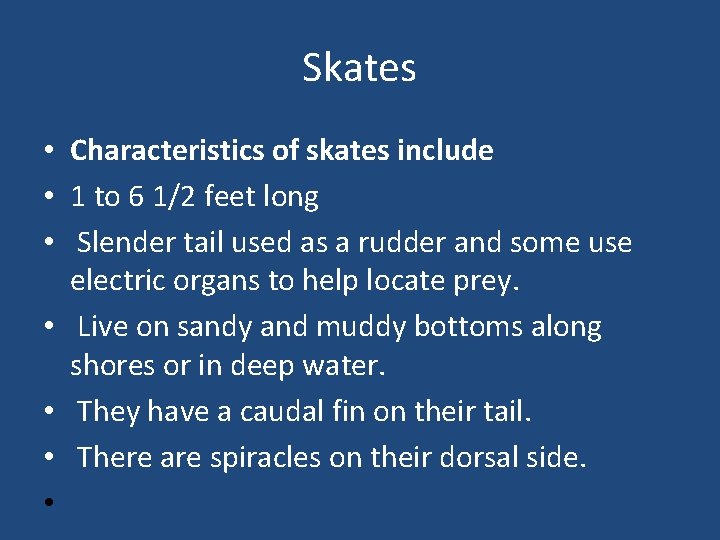 Skates • Characteristics of skates include • 1 to 6 1/2 feet long •