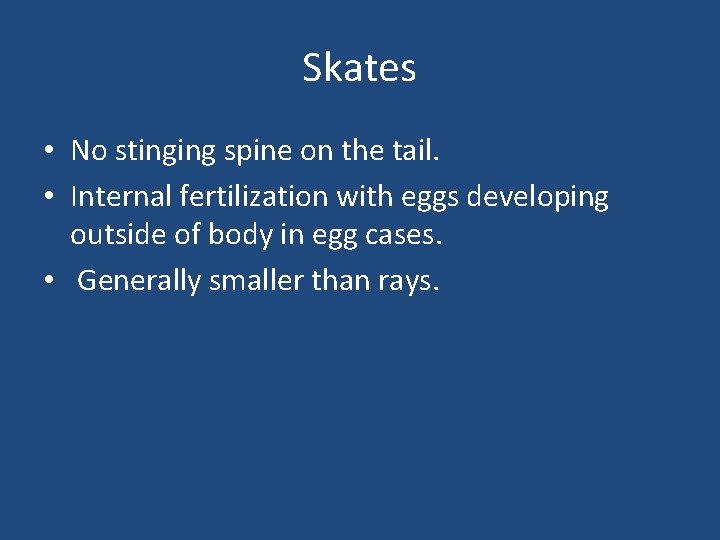 Skates • No stinging spine on the tail. • Internal fertilization with eggs developing