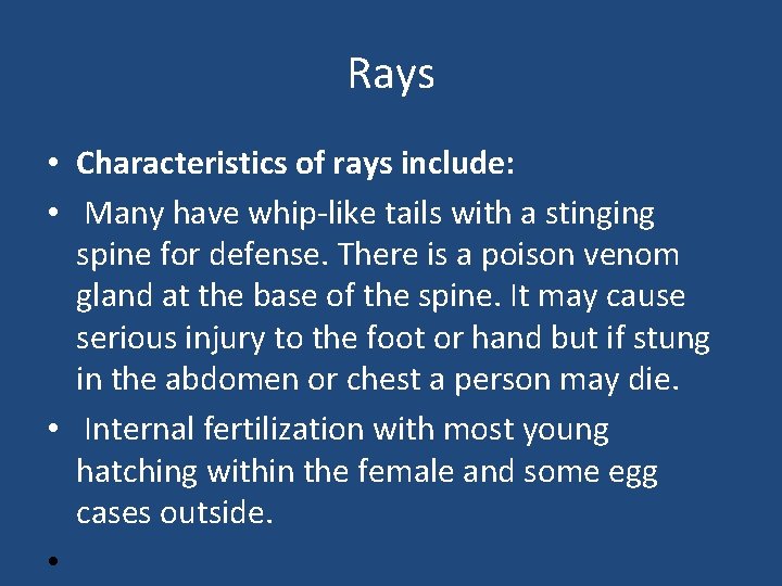 Rays • Characteristics of rays include: • Many have whip-like tails with a stinging