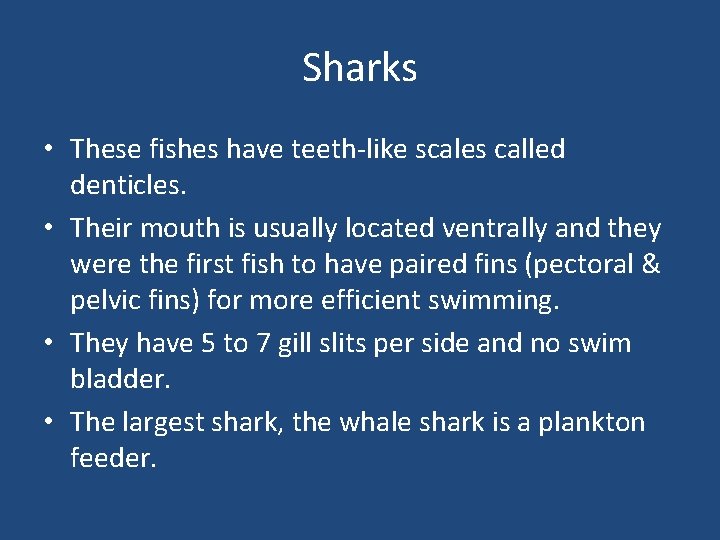 Sharks • These fishes have teeth-like scales called denticles. • Their mouth is usually