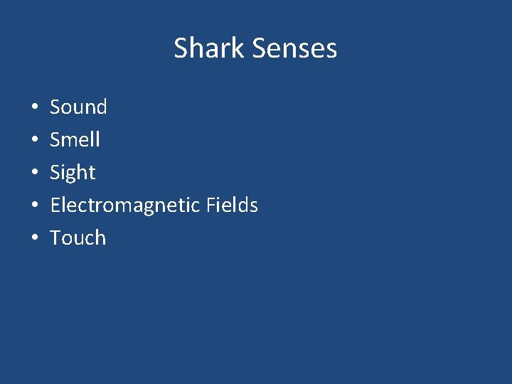 Shark Senses • • • Sound Smell Sight Electromagnetic Fields Touch 