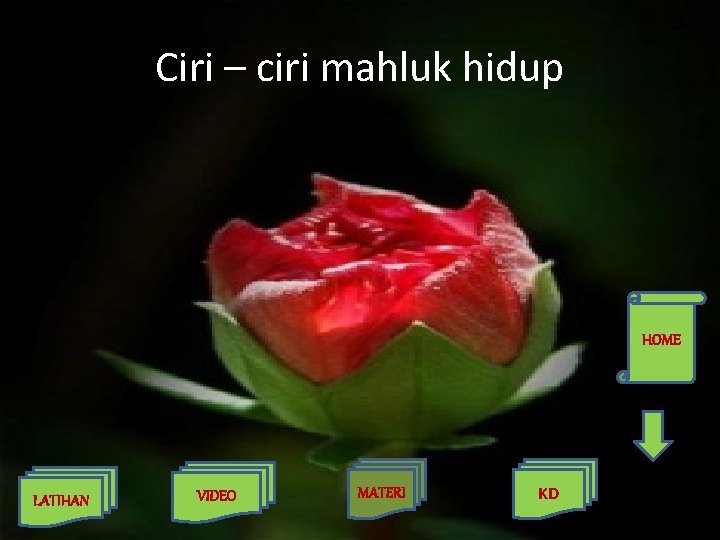 Ciri – ciri mahluk hidup HOME LATIHAN VIDEO MATERI KD 