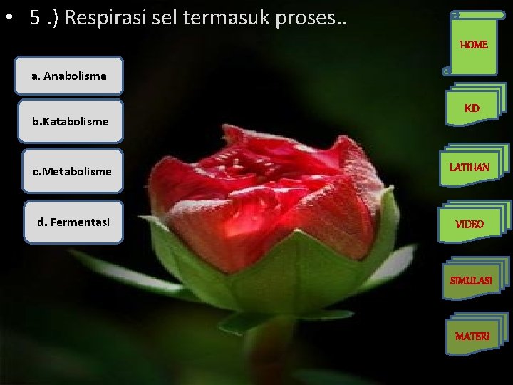  • 5. ) Respirasi sel termasuk proses. . HOME a. Anabolisme b. Katabolisme