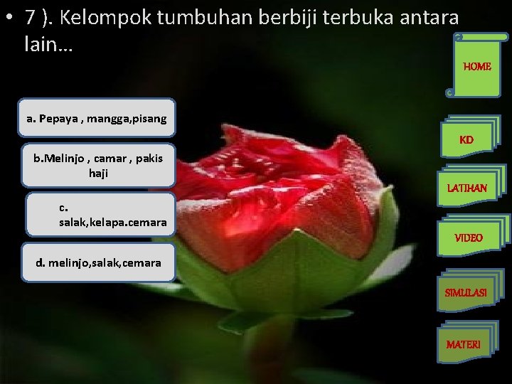  • 7 ). Kelompok tumbuhan berbiji terbuka antara lain… HOME a. Pepaya ,