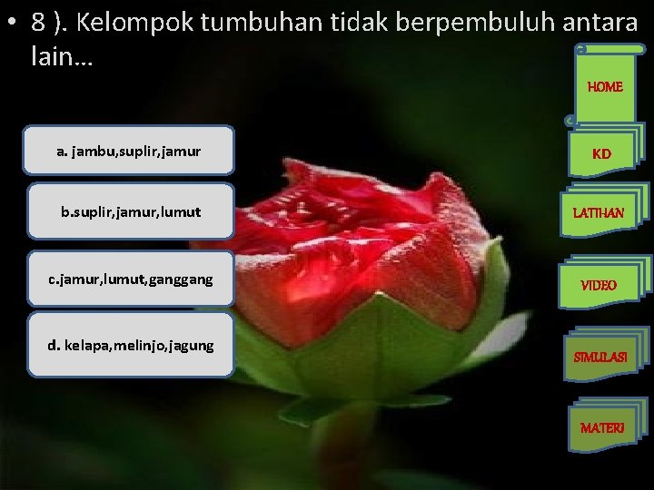  • 8 ). Kelompok tumbuhan tidak berpembuluh antara lain… HOME a. jambu, suplir,