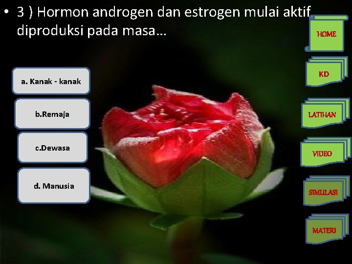  • 3 ) Hormon androgen dan estrogen mulai aktif diproduksi pada masa… a.