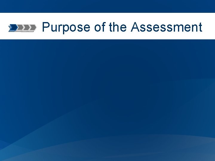 Purpose of the Assessment 