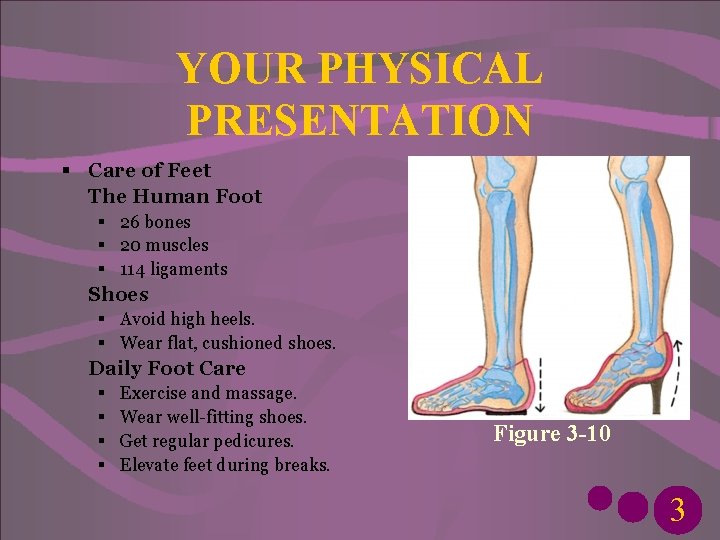 YOUR PHYSICAL PRESENTATION § Care of Feet The Human Foot § 26 bones §