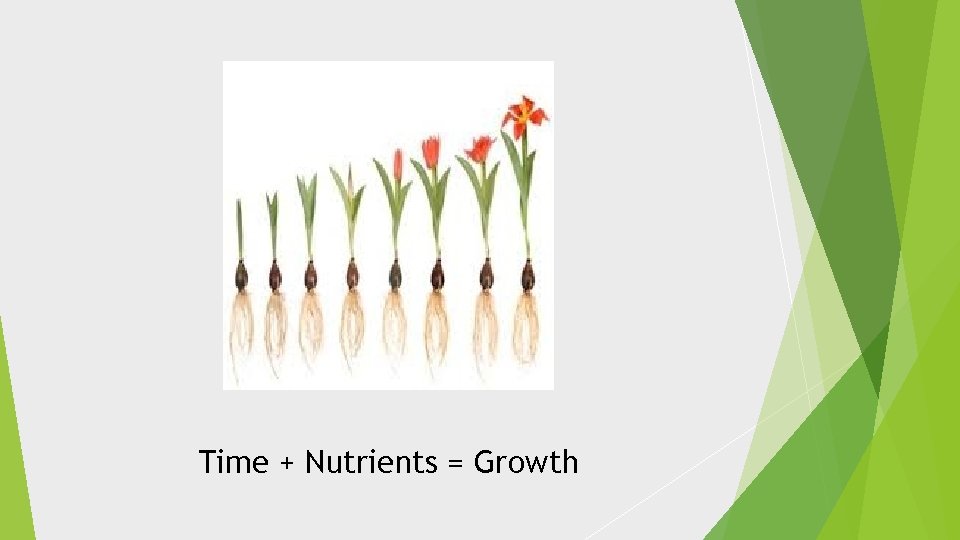 Time + Nutrients = Growth 