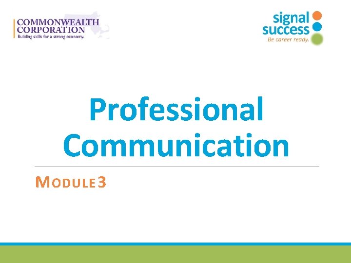 Professional Communication M ODULE 3 