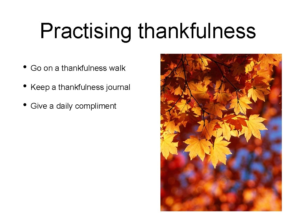 Practising thankfulness • Go on a thankfulness walk • Keep a thankfulness journal •